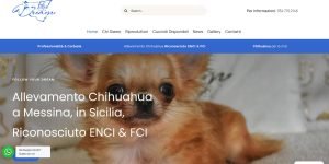 Web Agency e Realizzazione Siti Web Messina | LuxNet